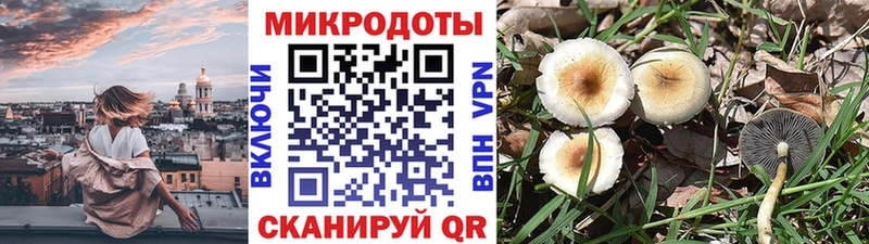 Псилоцибиновые грибы GOLDEN TEACHER Ворсма